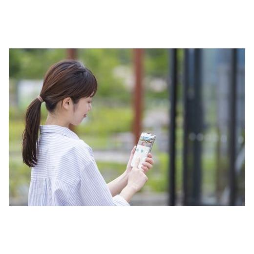 ふるさと納税 TV・オーディオ・カメラ 宮城県 角田市 テレビドアホン インターホン インターフォン 録画 自動録画 カメラ付き ワイヤレス スマホ連動 広角レン…の画像