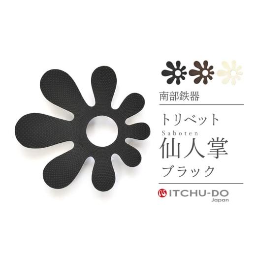 ふるさと納税 民芸品・工芸品 岩手県 盛岡市 南部鉄器 トリベット仙人掌 SABOTEN(ブラック) ブラック