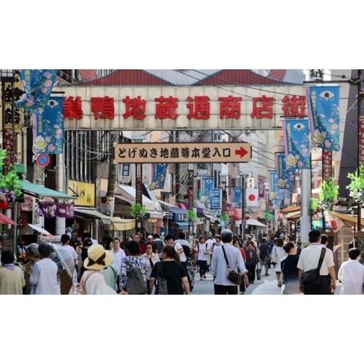 ふるさと納税 和菓子 もなか 東京都 豊島区 御菓子司 松月堂 栗最中 10個 セット 詰め合わせ 和菓子 お菓子 菓子 おやつ 最中 もなか モナカ 栗もなか 手作り …_2