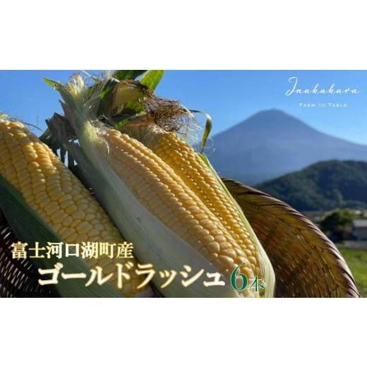 ふるさと納税 山梨県 富士河口湖町 [富士山の麓で育つ]河口湖町 Inakakara 「ゴールドラッシュ」6本 野菜 やさい とうもろこし トウモロコシ コーン 先行予…