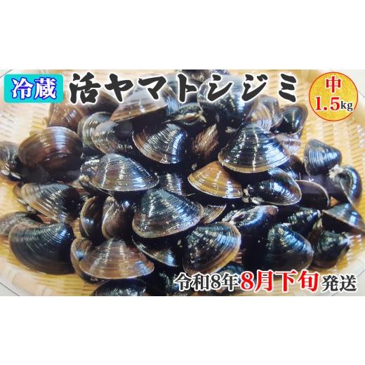 ふるさと納税 魚貝類 しじみ 青森県 つがる市 令和8年8月下旬発送 青森県十三湖産 冷蔵 活ヤマトシジミ 中 1.5kg|十三湖産 青森 津軽 つがる しじみ みそ汁 …