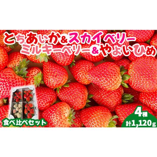ふるさと納税 栃木県 塩谷町 [先行受付]4種のいちご食べ比べセット 約280g×4パック (とちあいか・スカイベリー・ミルキーベリー・やよいひめ)|いちご 苺…