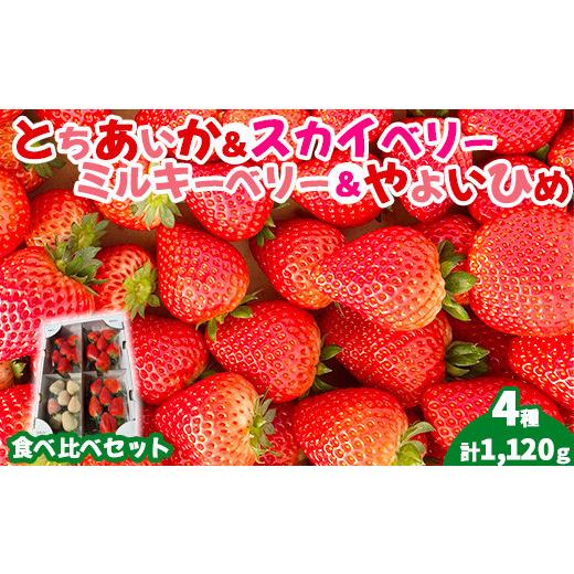 ふるさと納税 いちご 栃木県 塩谷町 先行受付 4種のいちご食べ比べセット 約280g×4パック (とちあいか・スカイベリー・ミルキーベリー・やよいひめ) | い…