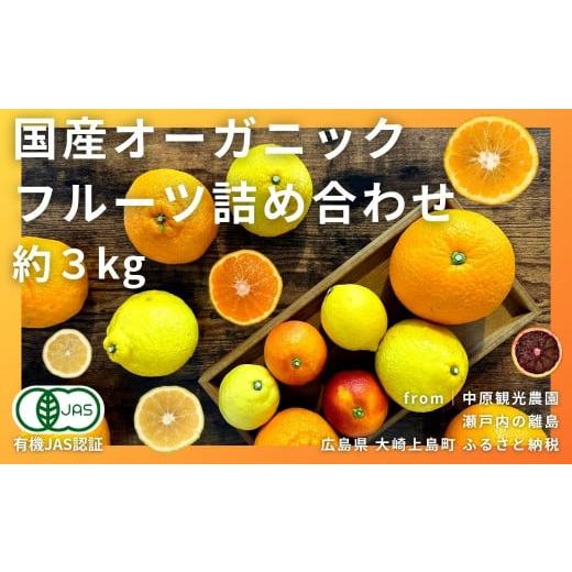 ふるさと納税 みかん・柑橘類 レモン 広島県 大崎上島町 国産 オーガニックフルーツ詰め合わせ 3kg レモン ブラッドオレンジ はるか 不知火 紅八朔 有機JAS認…