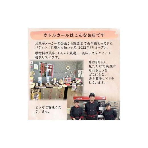 ふるさと納税 焼菓子・チョコレート パウンドケーキ 千葉県 白井市 ベリーパウンドケーキ 1本 ラズベリーチョココーティング ドライベリーのせ ベリーパウンド_7