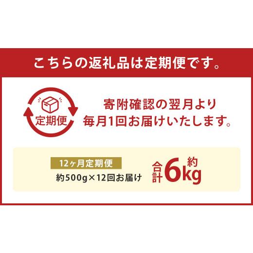 ふるさと納税 桜肉 熊本県 高森町  12か月定期便 熊本産 桜肉 しゃぶしゃぶ 約500g 食品-馬肉、馬刺し