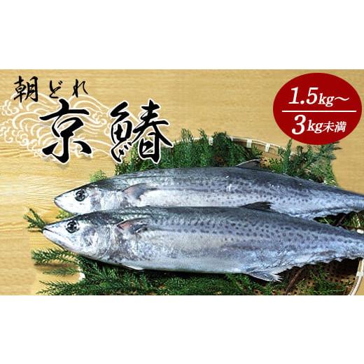 ふるさと納税 旬の鮮魚等 京都府 舞鶴市 京鰆 1.5kg以上 京鰆1.5kg以上