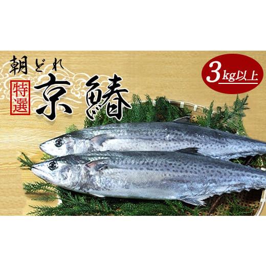 ふるさと納税 旬の鮮魚等 京都府 舞鶴市 12月から3月のみ発送 特選 京鰆(3kg以上) 特選京鰆3kg以上