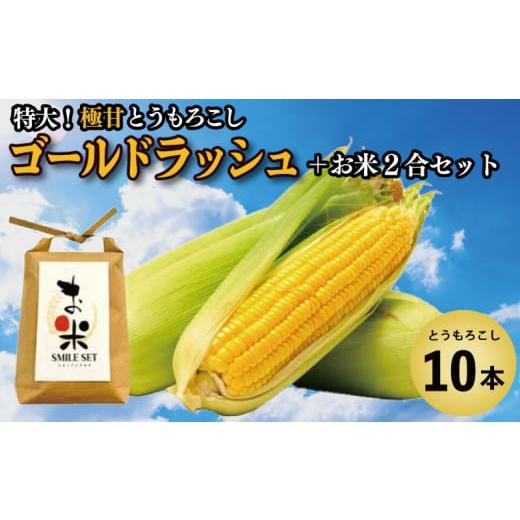 ふるさと納税 とうもろこし 徳島県 吉野川市 とうもろこし 米 セット ゴールドラッシュ 10本 約 4kg コメ 2合 お米 アキサカリ ごはん 先行予約 えがおセット …