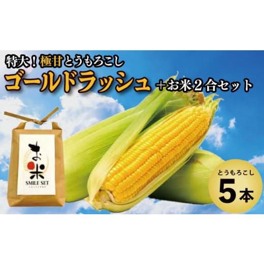 ふるさと納税 とうもろこし 徳島県 吉野川市 とうもろこし 米 セット ゴールドラッシュ 5本 約 2kg コメ 2合 お米 アキサカリ ごはん 先行予約 えがおセット …