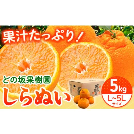 ふるさと納税 みかん・柑橘類 デコポン 和歌山県 日高町 しらぬい しらぬいの産地和歌山からお届け 不知火 ( デコポンと同品種 ) しらぬい 約5kg (L〜5Lサイズ…