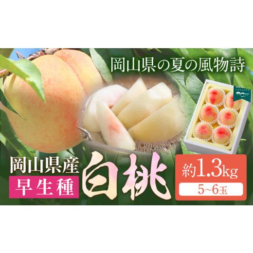 ふるさと納税 ぶどう 岡山県 浅口市 令和8年度先行予約 岡山県産 白桃 (早生種) 約1.3kg (5〜6玉) クール便 晴れの国 おかやま館(漂流岡山) [2026年7月…