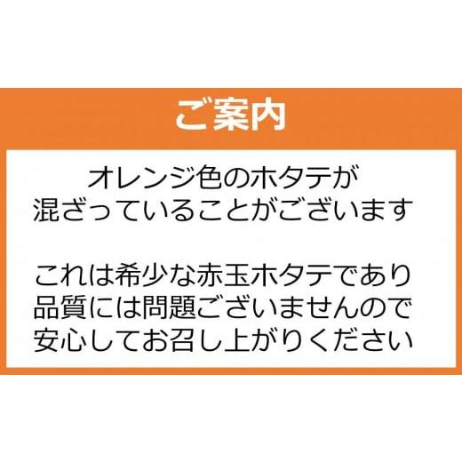ふるさと納税 魚貝類 ホタテ 北海道 羅臼町 北海道産 訳ありホタテ 貝柱 900g 刺身用 不揃い 小分けの画像