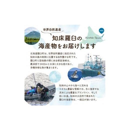 ふるさと納税 魚貝類 ホタテ 北海道 羅臼町 北海道産 訳ありホタテ 貝柱 900g 刺身用 不揃い 小分けの画像