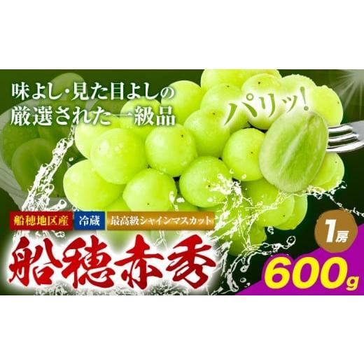 ふるさと納税 ぶどう マスカット 岡山県 浅口市 2026年発送先行予約 最高級 シャインマスカット ぶどう 船穂赤秀 1房 600g 岡山県産[2026年9月上旬-10月末頃…