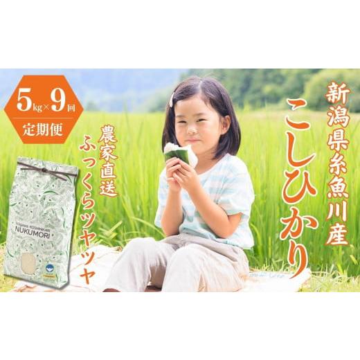 ふるさと納税 米 コシヒカリ 新潟県 糸魚川市 令和7年産新米 定期便 新潟県産『コシヒカリ』5kg×9回 計45kg 毎月お届け 米・食味鑑定士お墨付き 農家自慢の逸…