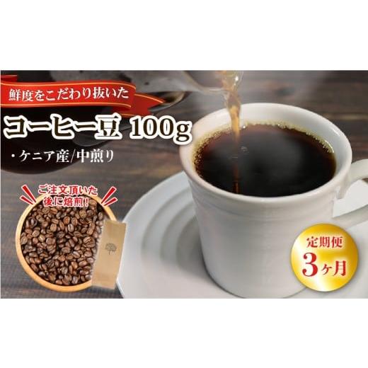 ふるさと納税 コーヒー コーヒー豆 岩手県 大船渡市 3ヶ月/定期便 自家焙煎 コーヒー 豆 100g ケニア 中煎り ケニア 3ヶ月定期便 寄附額9000円