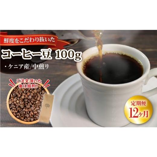 ふるさと納税 コーヒー コーヒー豆 岩手県 大船渡市 12ヶ月 / 定期便 自家焙煎 コーヒー 豆 100g ケニア 中煎り ケニア 12ヶ月定期便 寄附額37000円