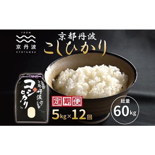 ふるさと納税 米 コシヒカリ 京都府 京丹波町 12カ月定期便 京丹波こしひかり 5kg×12カ月連続 合計60kg 令和7年産 京都 米 精米 コシヒカリ 北海道・東北・…