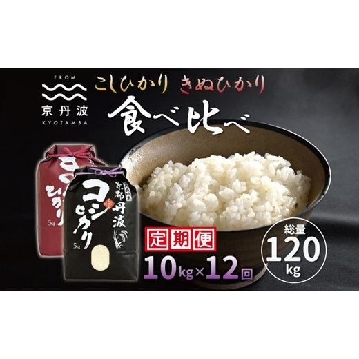 ふるさと納税 米 コシヒカリ 京都府 京丹波町 12カ月定期便 京丹波こしひかり きぬひかり 食べ比べ セット 10kg×12カ月連続 合計120kg 令和7年産 京都 米 精…