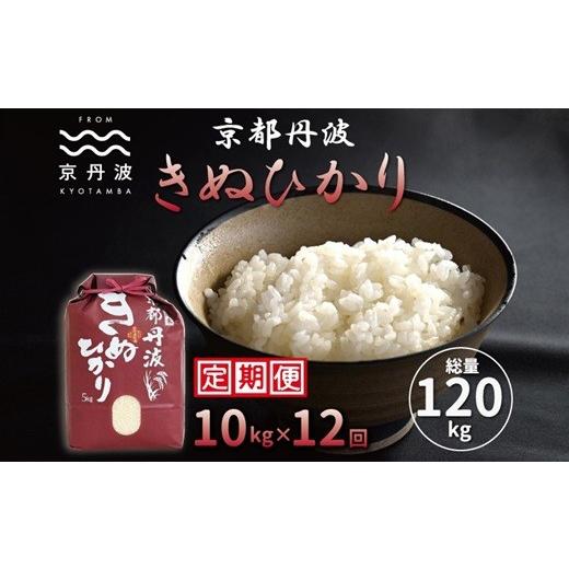 ふるさと納税 米 京都府 京丹波町 12カ月定期便 京丹波きぬひかり 10kg×12カ月連続 合計120kg 令和7年産 京都 米 精米 キヌヒカリ 北海道・東北・沖縄・その…