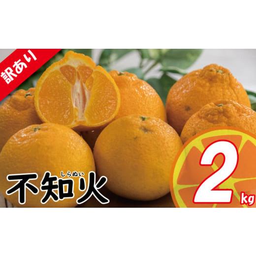 ふるさと納税 みかん・柑橘類 デコポン 愛媛県 松山市 先行予約 訳あり みかん 不知火 しらぬい 約2kg | デコポン でこぽん と同品種 みかん ミカン 蜜柑 愛…
