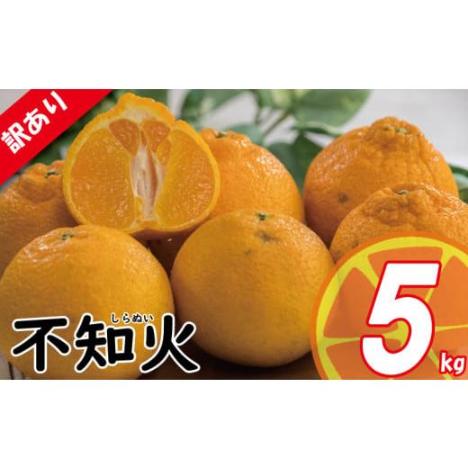 ふるさと納税 みかん・柑橘類 デコポン 愛媛県 松山市 先行予約 訳あり みかん 不知火 しらぬい 約2kg / 約5kg | デコポン でこぽん と同品種 みかん ミカン…