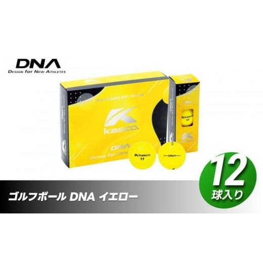 ふるさと納税 ゴルフグッズ ボール 香川県 さぬき市 ゴルフボール DNA 12球入 1ダース イエロー ゴルフ キャスコ kasco イエロー