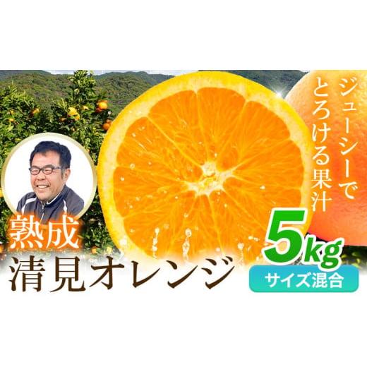 ふるさと納税 みかん・柑橘類 オレンジ 和歌山県 日高川町 先行予約 熟成清見オレンジ 5kg どの坂果樹園[3月上旬-5月中旬頃出荷] 和歌山県 日高川町 清見オ…