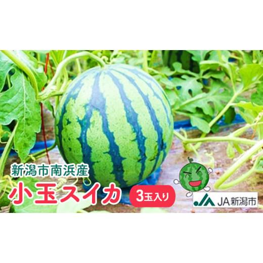 ふるさと納税 スイカ 新潟県 新潟市 新潟市南浜産 小玉スイカ 3玉入