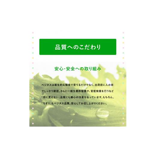 ふるさと納税 京都府 - ベジタス ちぎり フリルレタス 12個入り 詰め合わせ 水耕栽培 レタス サラダ 新鮮 野菜 葉野菜 葉物野菜 弁当 料理 京都｜furusatochoice｜05