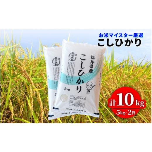 ふるさと納税 米 コシヒカリ 福井県 鯖江市 寄付額見直し 令和7年産 コシヒカリ 10kg(5kg × 2袋)×1回 C-02020a / お取り寄せ お米 精米 白米 小分け 便…