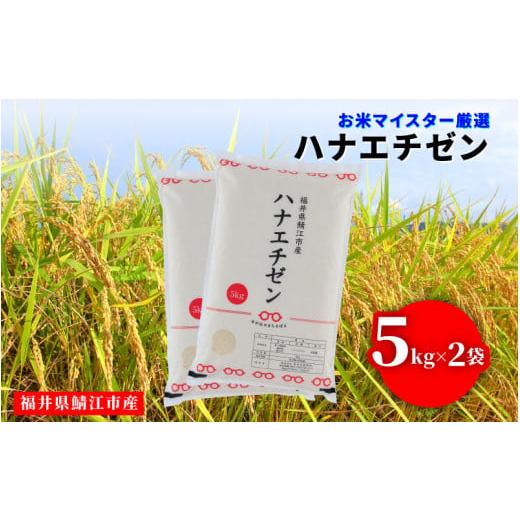 ふるさと納税 米 福井県 鯖江市 令和7年産 ハナエチゼン 10kg(5kg × 2袋) C-02018 / お取り寄せ お米 精米 白米 小分け 便利 弁当 ごはん ご飯 コメ おに…