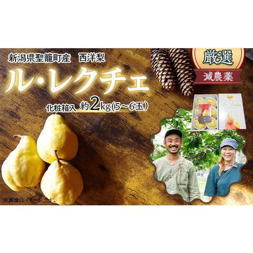ふるさと納税 梨 新潟県 聖籠町 特選 西洋梨ルレクチェ約2kg(5〜6玉)化粧箱入