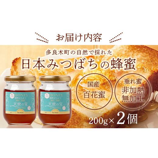ふるさと納税 日本みつばち 蜂蜜「天使の宝」2個 セット 【 希少 