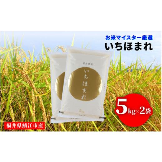 ふるさと納税 米 福井県 鯖江市 令和7年産 いちほまれ 10kg(5kg × 2袋)×1回 D-02020 / お米 精米 白米 小分け 便利 ごはん コメ ブランド米 人気 品種 特…