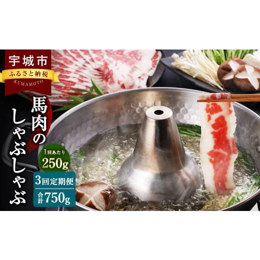 ふるさと納税 熊本県 宇城市 [3か月定期便]熊本産 馬肉の しゃぶしゃぶ 約250g