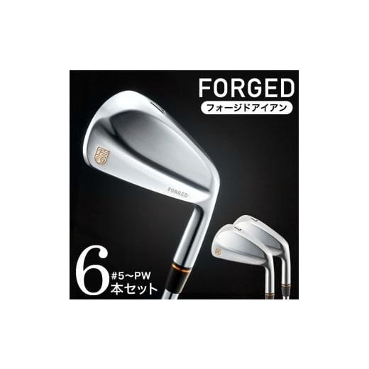 ふるさと納税 ゴルフグッズ クラブ 兵庫県 市川町 HIAマッスルアイアン 6本セット #5〜PW(DG S200)580BE01N. DG