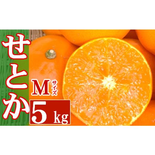 ふるさと納税 みかん・柑橘類 高知県 室戸市 数量限定 室戸産 せとか Mサイズ 5kg|蜜柑 みかん 甘い 家庭用 柑橘 フルーツ 果物 期間限定 数量限定 高知県 …