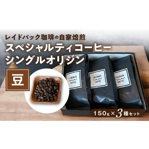 ふるさと納税 コーヒー コーヒー豆 宮崎県 宮崎市 レイドバック珈琲の