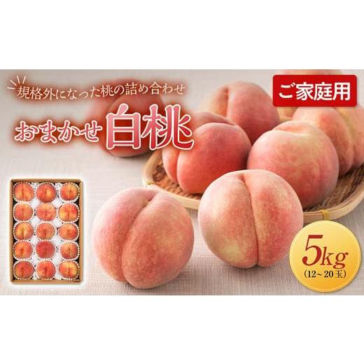 ふるさと納税 もも 山形県 西川町  2026年先行予約 ご家庭用 山形県産 おまかせ 白桃 約5kg(12〜20玉) 2026年8月上旬から順次発送 夏果実 果実 果物 くだもの …の画像