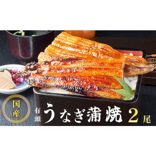 ふるさと納税 うなぎ 京都府 舞鶴市 国産 うなぎ 蒲焼 2尾 特製ダレ付 冷凍 有頭 鰻 うなぎ蒲焼 調理済 ウナギ たれ付き 簡単 お取り寄せ グルメ 国産鰻 養殖 …