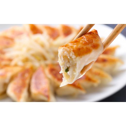 ふるさと納税 惣菜・レトルト 冷凍 静岡県 浜松市  定期便12回 浜松餃子のまっちゃん餃子にんにく少なめ餃子40ヶ入り×3袋　計120ヶセット 配送不可：沖縄県・…_3