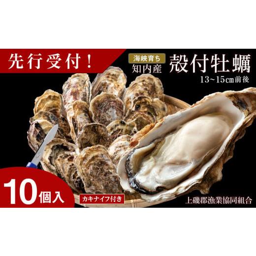 ふるさと納税 牡蠣 生牡蠣 北海道 知内町 2026年3月中旬以降発送 海峡育ち 殻付き牡蠣 10個入り カキナイフ付 上磯郡漁業協同組合 生牡蠣 かき カキ 貝 海鮮 …