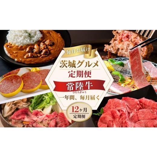 ふるさと納税 牛肉 ハンバーグ 茨城県 水戸市 12ヶ月 定期便 高級肉 常陸牛 Aコース 148000円 毎月 常陸牛ハンバーグ 焼肉 すき焼き しゃぶしゃぶ コンビーフ …