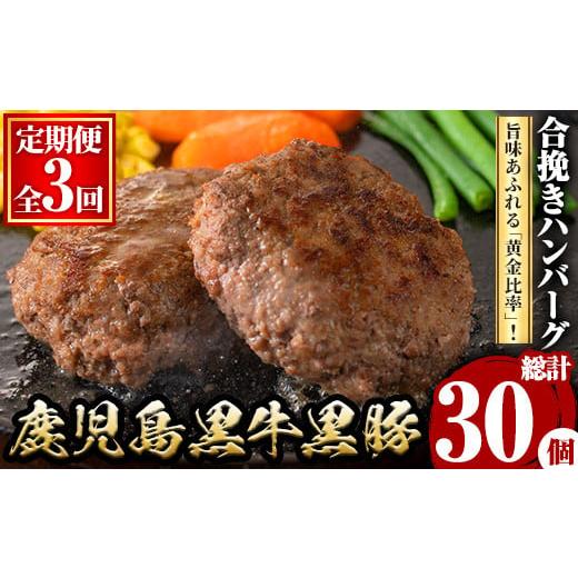 ふるさと納税 牛肉 ハンバーグ 鹿児島県 湧水町 y445 定期便・全3回(連続) 鹿児島黒牛黒豚ハンバーグ(10個・計1.3kg×3回) 肉 お肉 ぶた ブタ 豚肉 牛肉 ミン…
