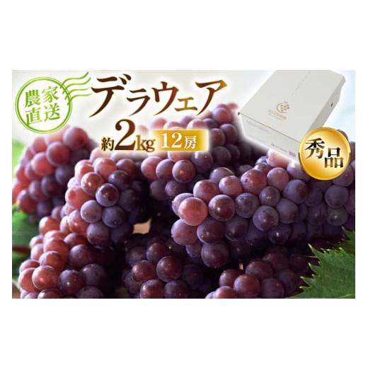 ふるさと納税 果物類 ぶどう 山形県 高畠町 期間限定発送 デラウェア 秀品 12房 約2kg 相良果樹園 山形県 高畠町 tk06ayt350001 贈答用 個包装 種無し ブドウ…