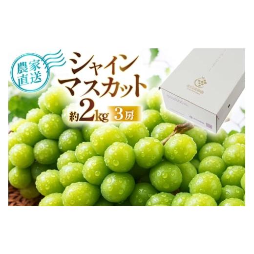 ふるさと納税 ぶどう マスカット 山形県 高畠町 期間限定発送 シャインマスカット 3房 約2kg 相良果樹園 山形県 高畠町 tk06ayt350004 ぶどう ブドウ 葡萄 マ…