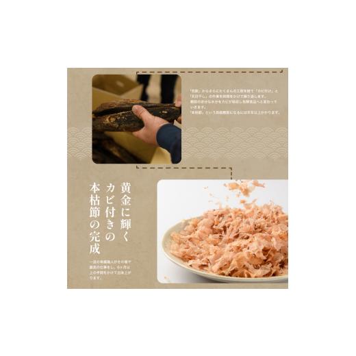 ふるさと納税 乾物 削り節・鰹節 鹿児島県 指宿市 訳あり・業務用 鰹節(本枯節) 厚削り 1kg(カネニニシ／IB056-017) 鰹節 かつお節 かつおぶし 本枯 本枯節 …