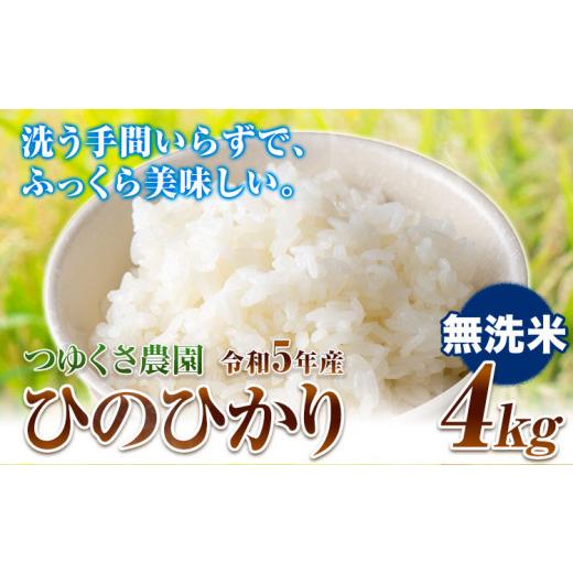 ふるさと納税 熊本県 荒尾市 令和5年産 ひのひかり 無洗米4kg 熊本県荒尾市産 つゆくさ農園 [30日以内に出荷予定(土日祝除く)] 無洗米4kg